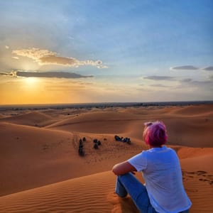 Camel caravan desert sunset